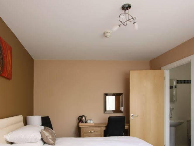 Bed and Breakfast Emlyn Arms à Llanarthney Extérieur photo
